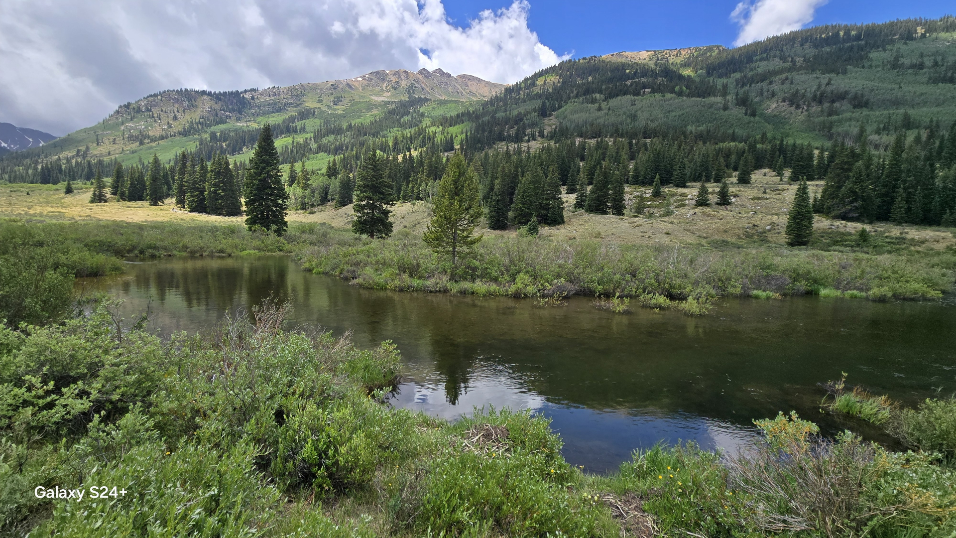 Calm alpine pond reflecting clouds with Huron Peak ridgeline rising behind a meadow of pines