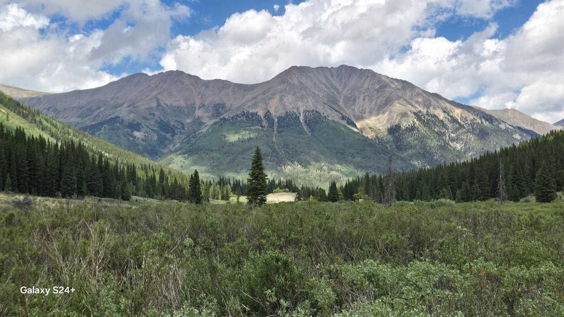 Huron Peak rising above a green meadow and pine forest seen from camp