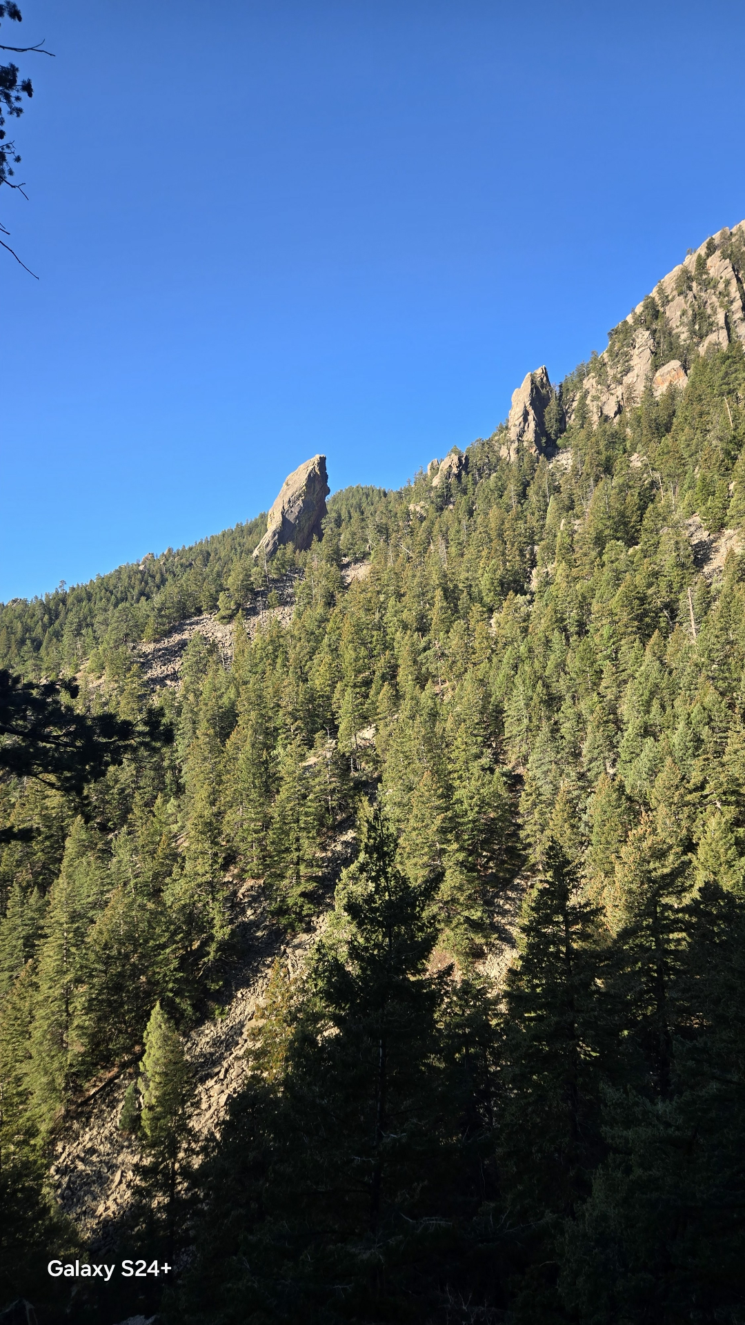 Boulder Peak summit spires above pine forest