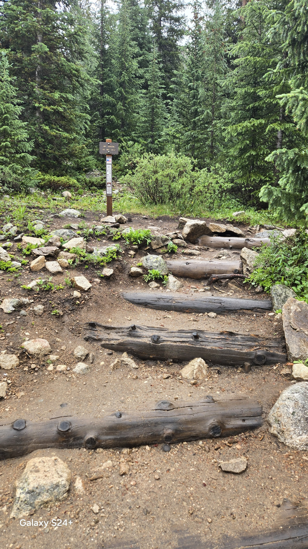 Lake Ann trailhead sign near Huron Peak with log steps leading into the forest