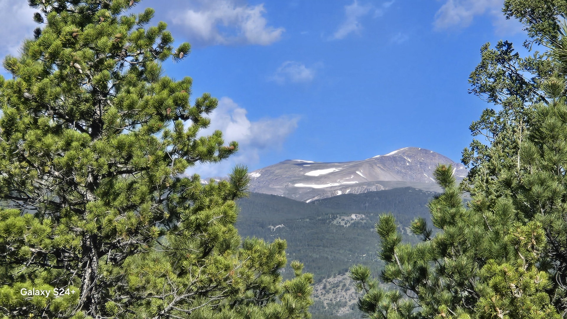 Snow-streaked summit of Maryland Mountain framed by pine boughs under a blue sky